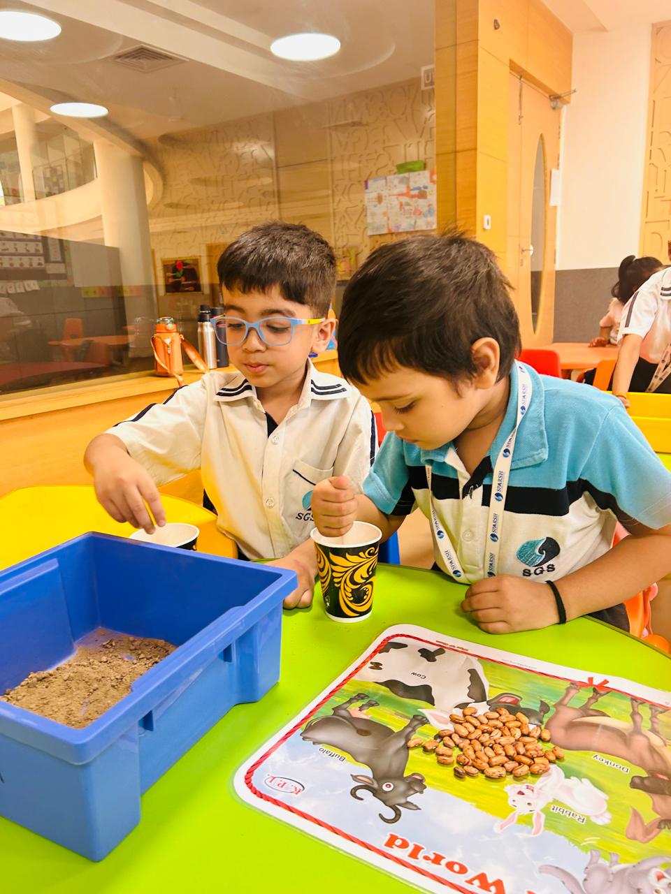 Seed sowing activity